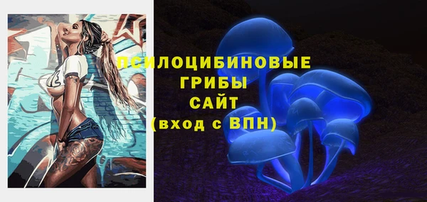 сатива Армянск